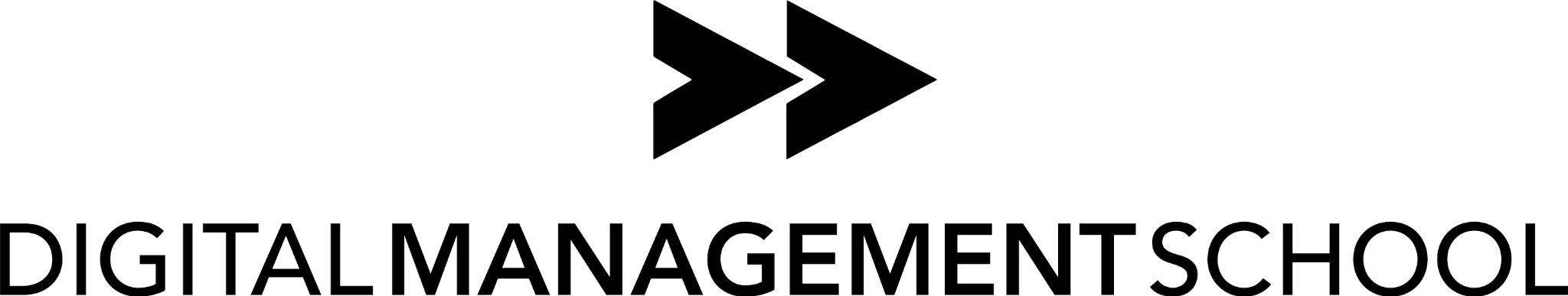 Digital Management School Logo
